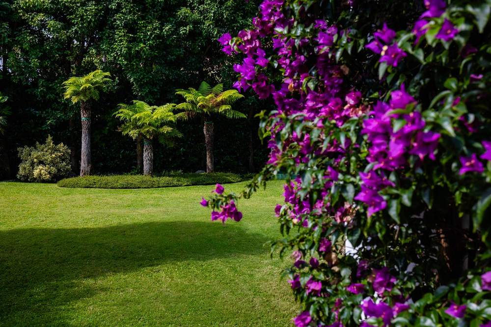Privacy prima di tutto, giardino privato a San Felice Circeo (2022) — fotografia 1 di 5