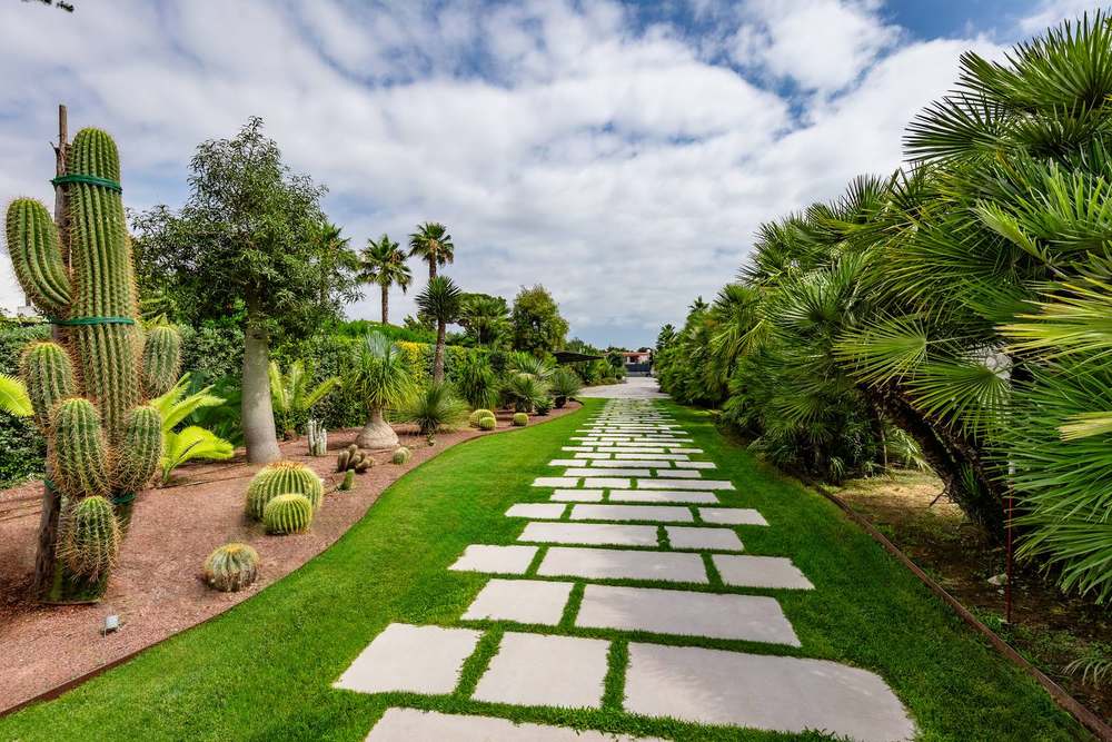 Passi tra le palme, giardino privato a San Felice Circeo (2024) — fotografia 3 di 6
