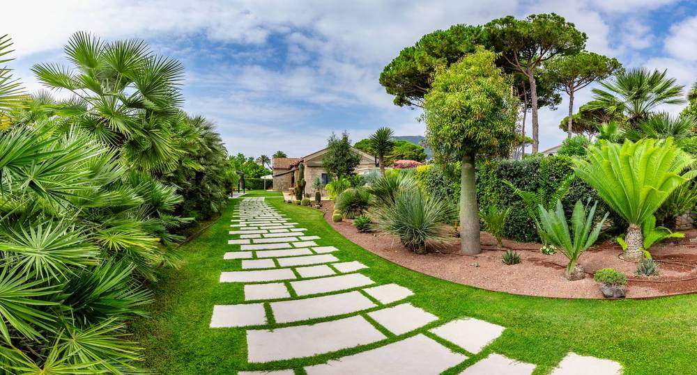 Passi tra le palme, giardino privato a San Felice Circeo (2024) — fotografia 5 di 6