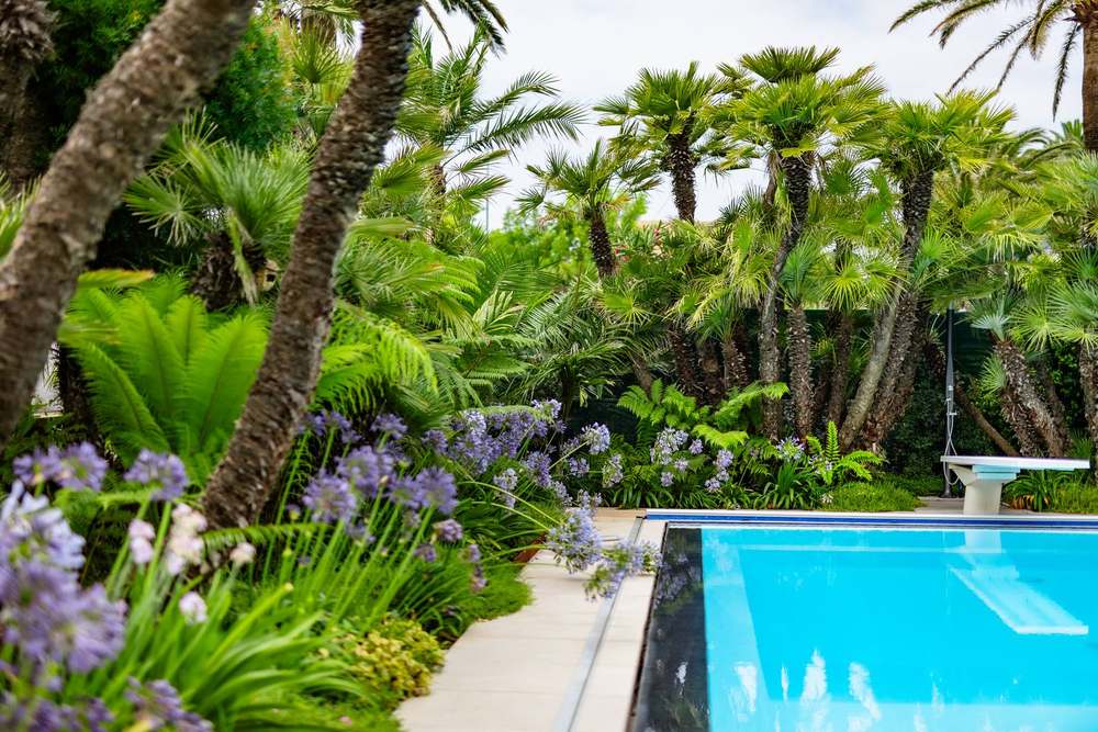 Passi tra le palme, giardino privato a San Felice Circeo (2024) — fotografia 6 di 6