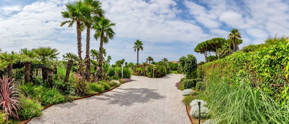 Passi tra le palme, giardino privato a San Felice Circeo (2024) — fotografia 4 di 6