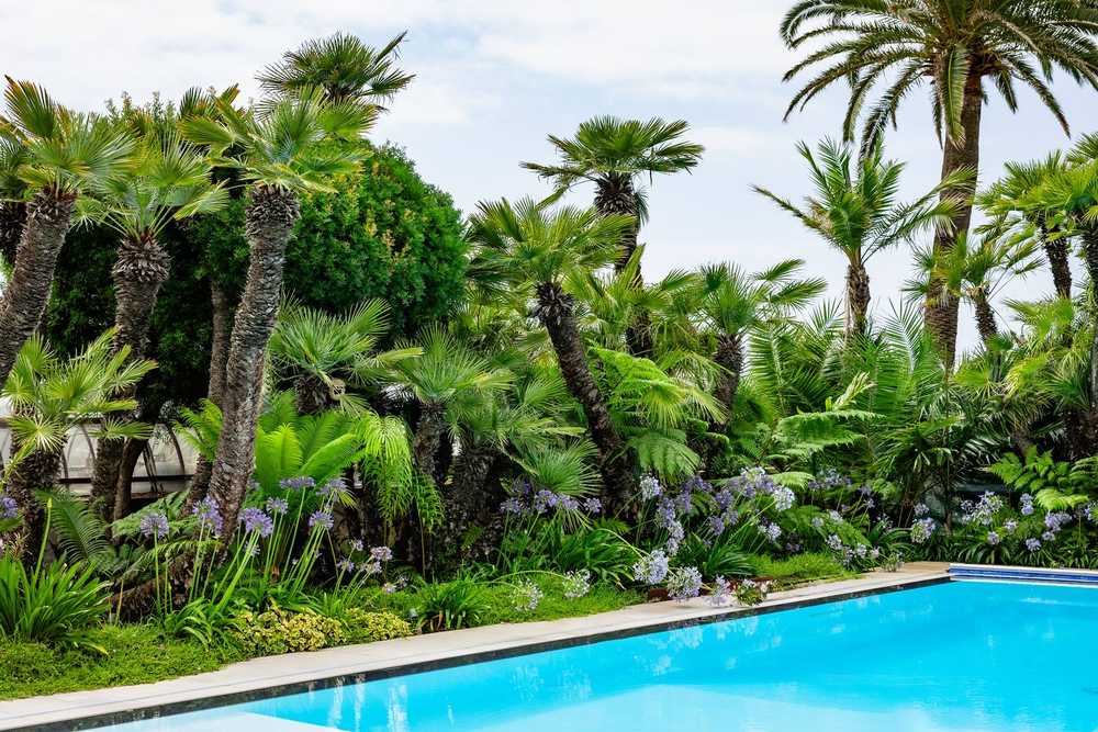 Passi tra le palme, giardino privato a San Felice Circeo (2024) — fotografia 1 di 6