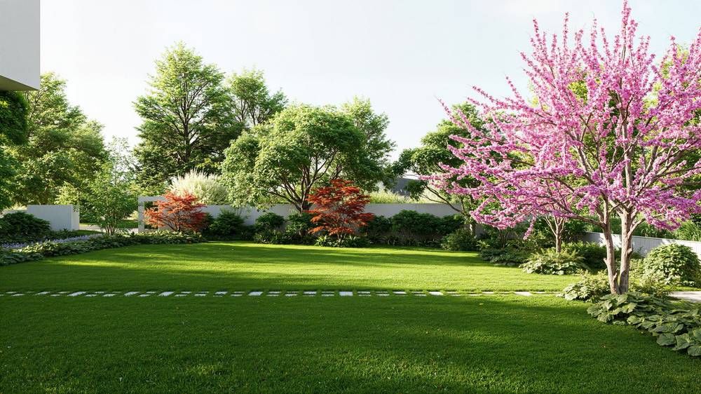 Aceri sul prato, render di progetto — vista 2 di 3