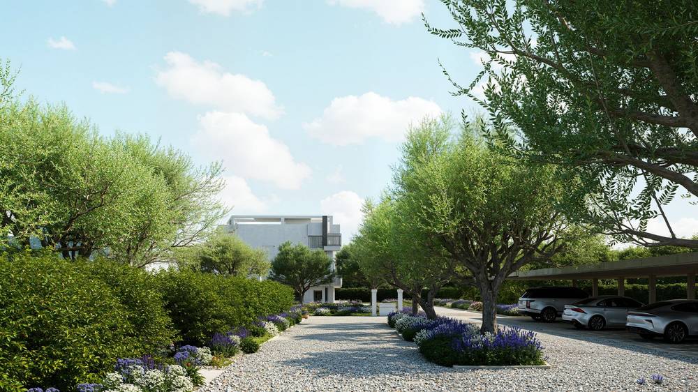 La corte degli olivi, render di progetto — vista 2 di 6