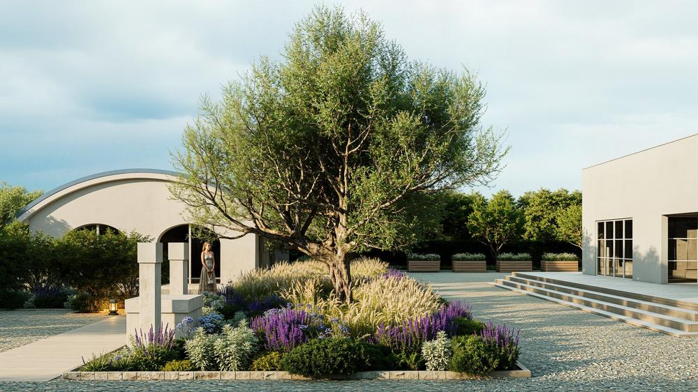La corte degli olivi, render di progetto — vista 6 di 6