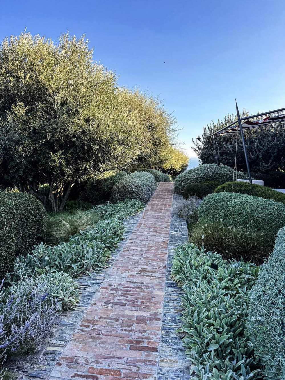 Villa della Pergola, giardino d'albergo a Alassio (2024) — fotografia 4 di 4
