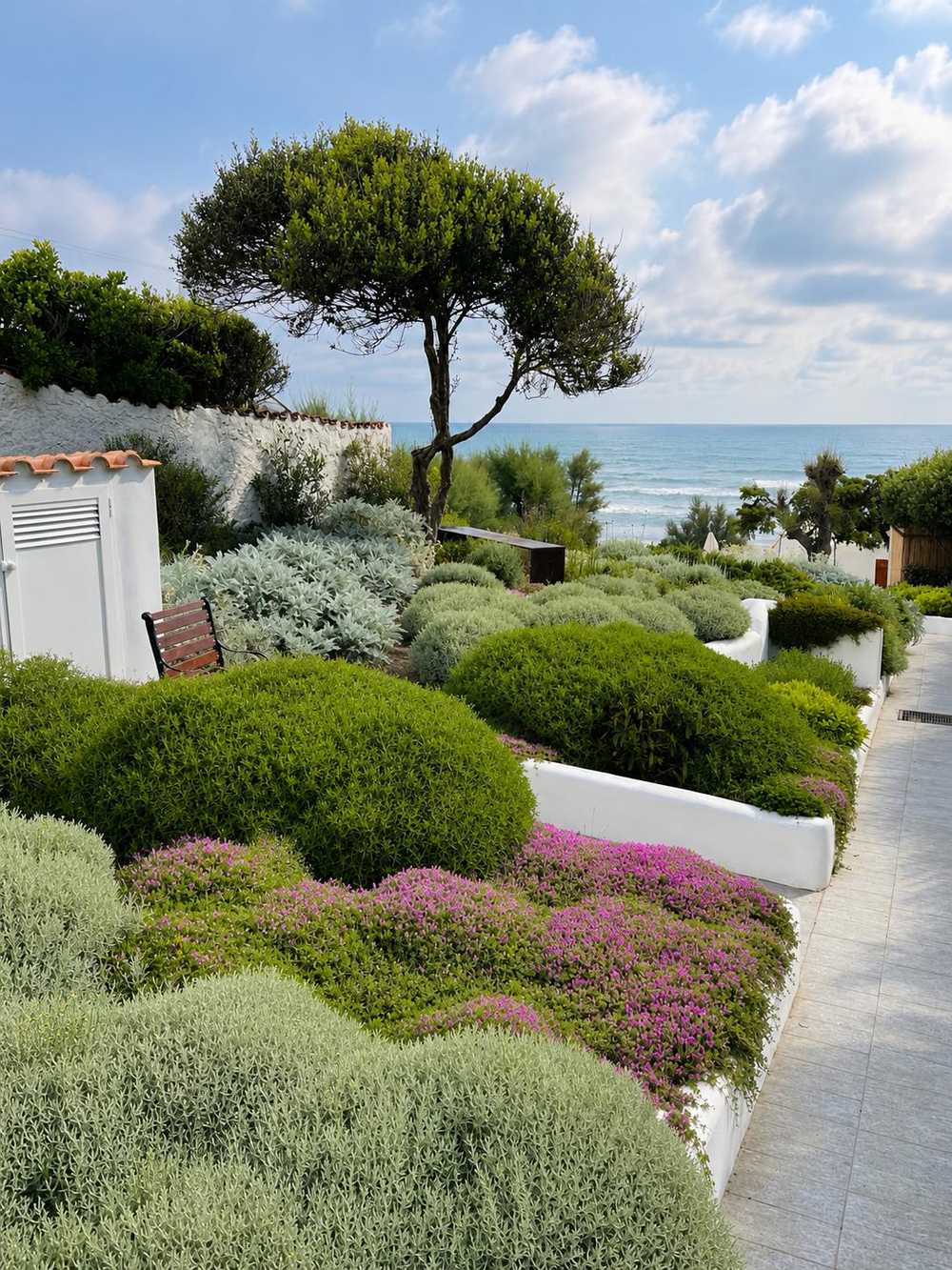 Sopra la duna, giardino privato a Sabaudia (2023) — fotografia 3 di 5