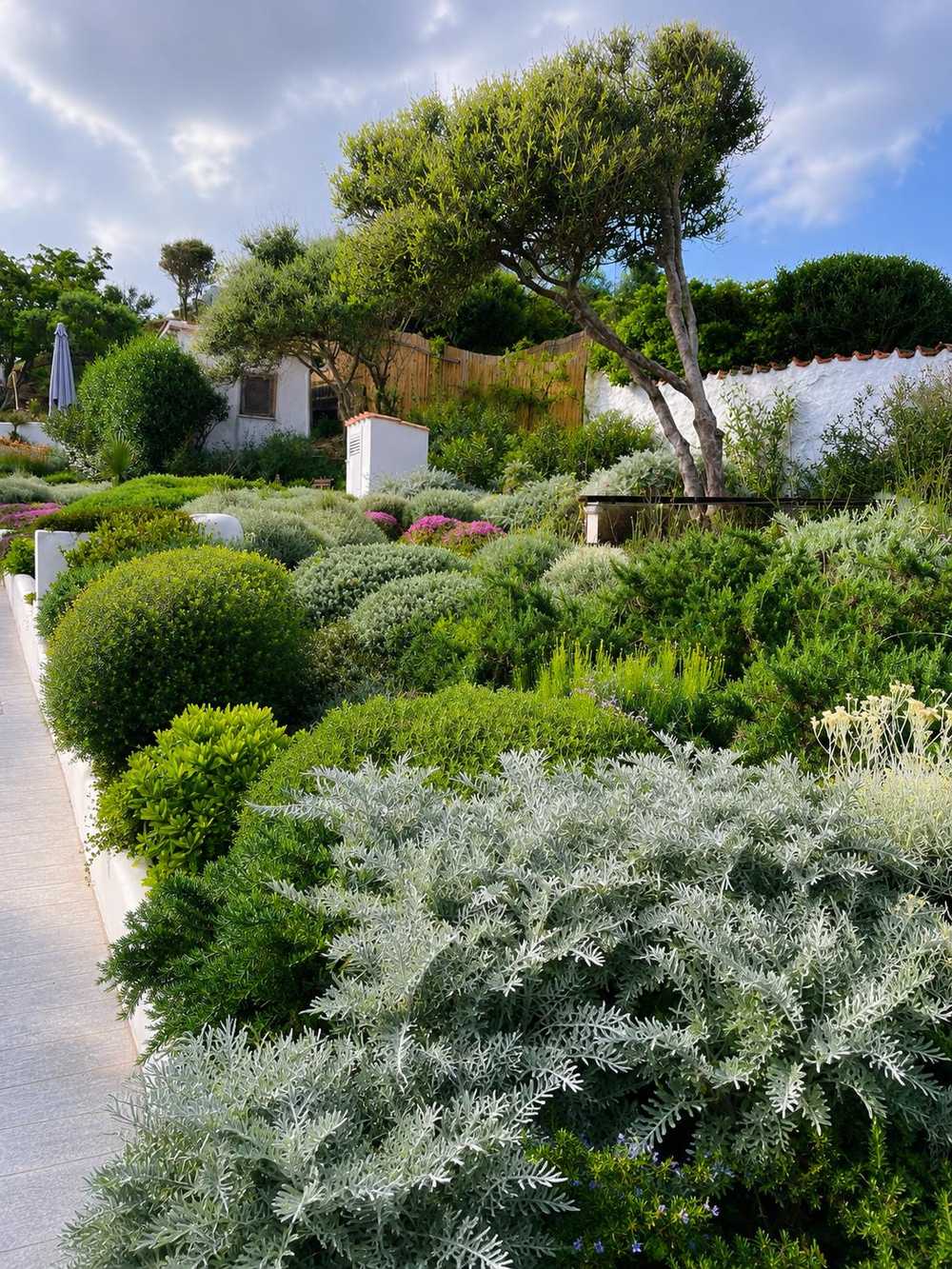 Sopra la duna, giardino privato a Sabaudia (2023) — fotografia 4 di 5