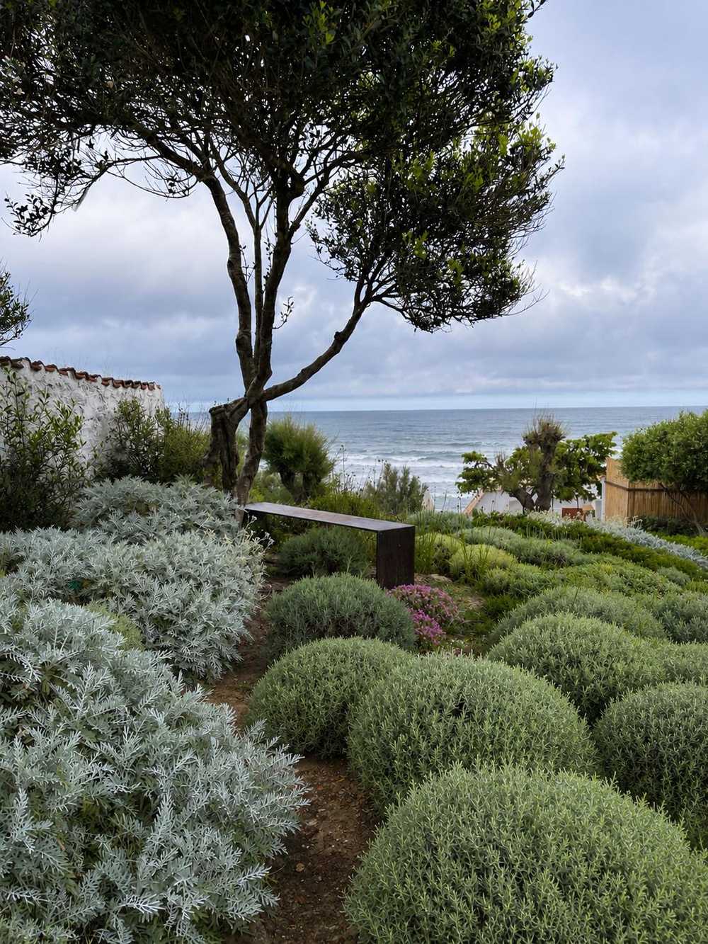 Sopra la duna, giardino privato a Sabaudia (2023) — fotografia 5 di 5