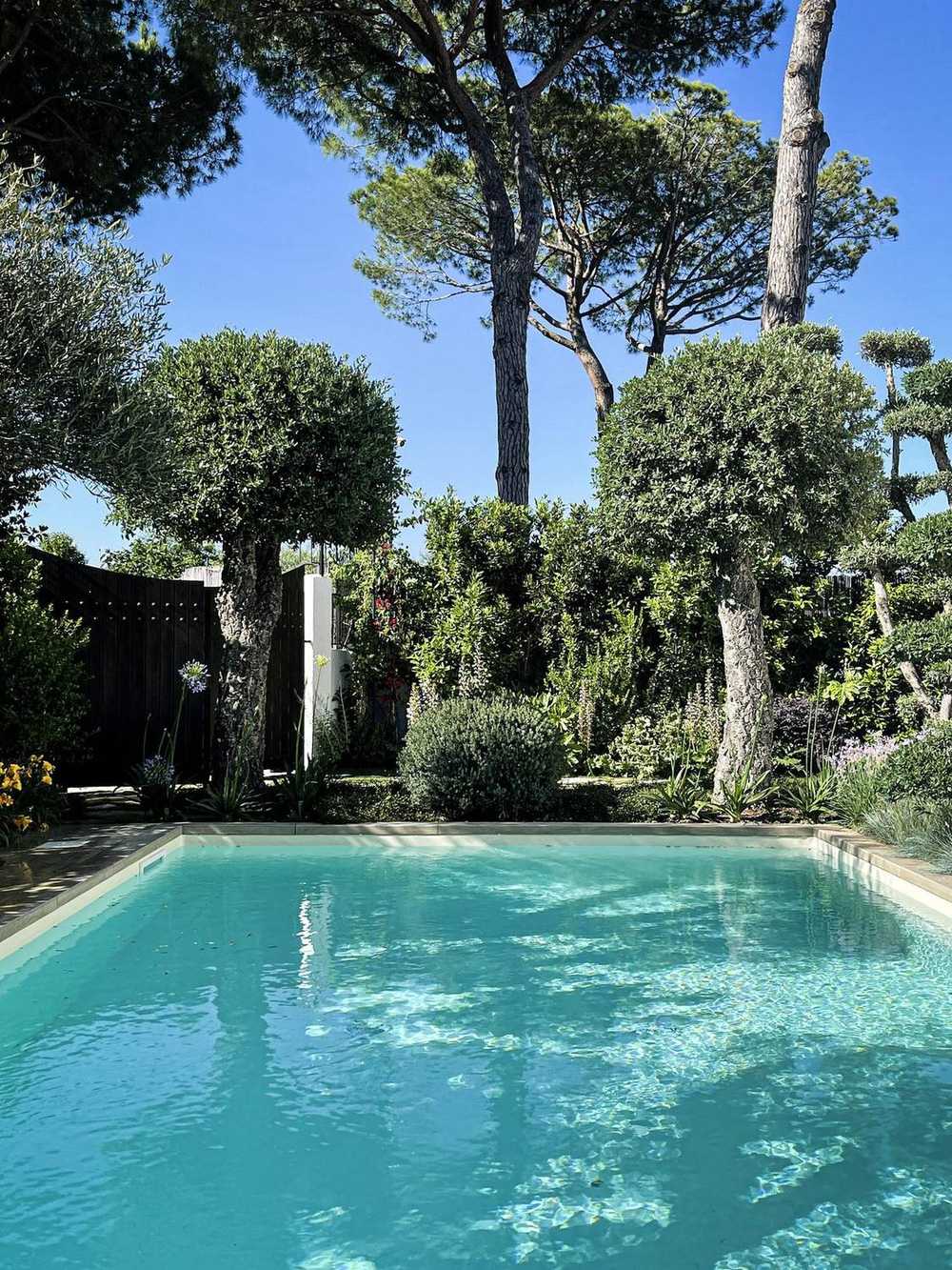Sughere a cupola, giardino privato a San Felice Circeo (2023) — fotografia 12 di 13
