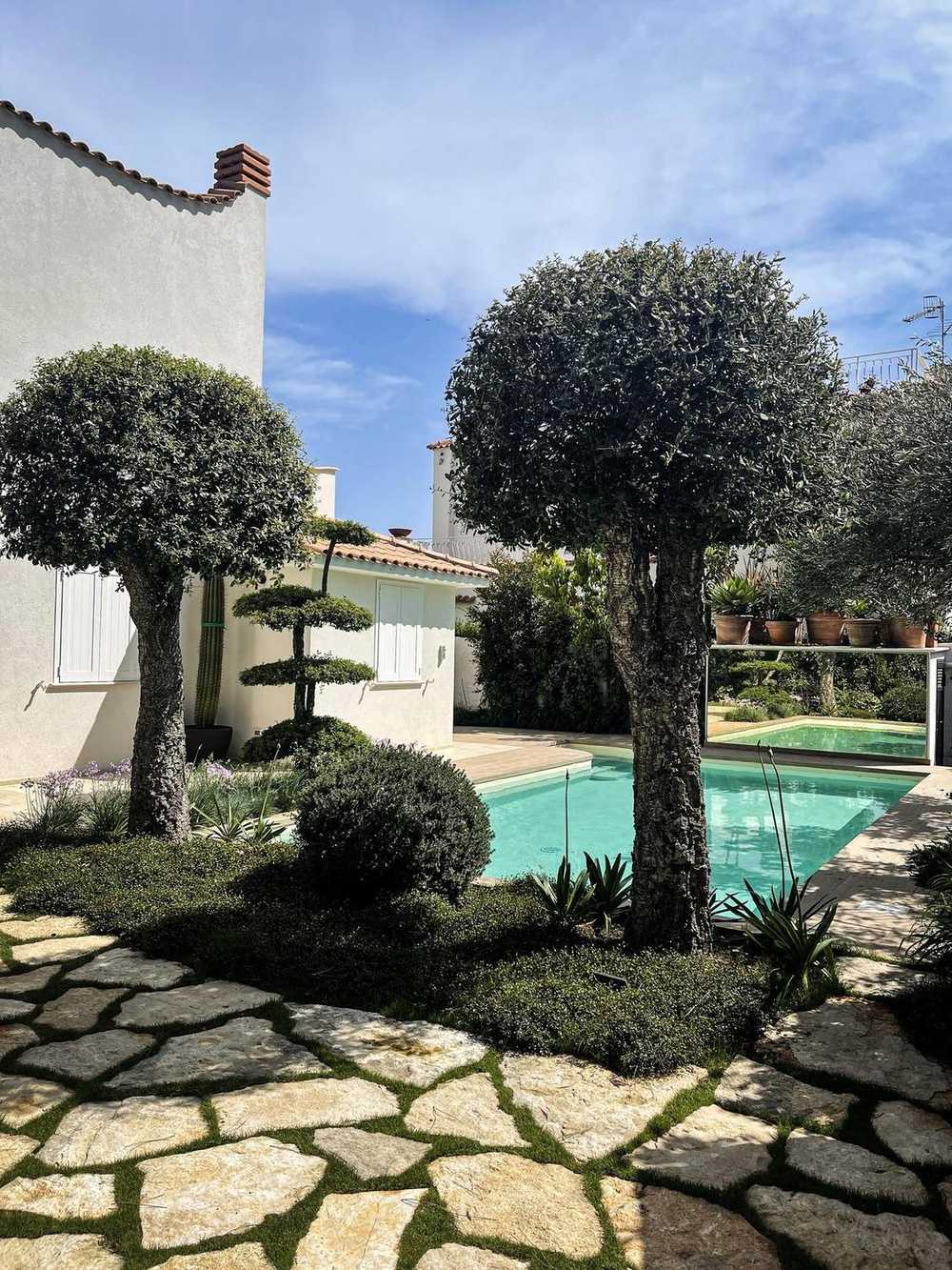 Sughere a cupola, giardino privato a San Felice Circeo (2023) — fotografia 13 di 13