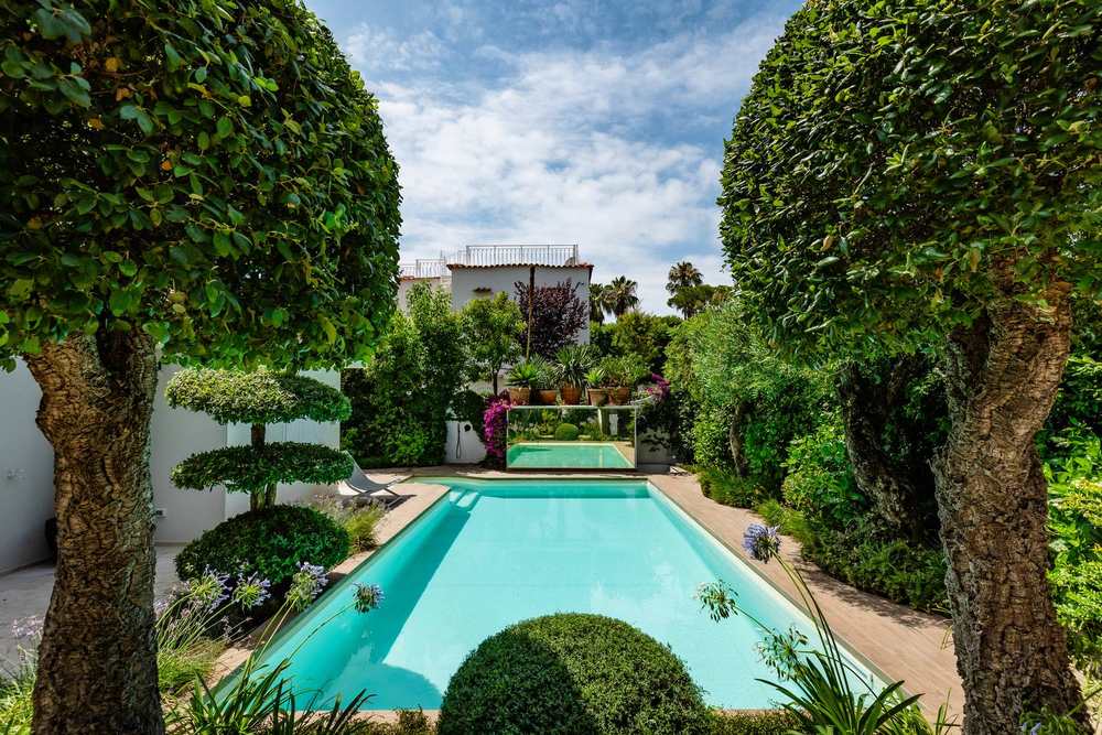 Sughere a cupola, giardino privato a San Felice Circeo (2023) — fotografia 5 di 13