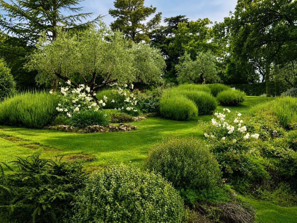Villa storica, giardino privato a Viterbo (2022) — fotografia 3 di 3