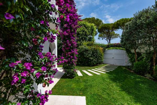 Privacy prima di tutto, giardino privato a San Felice Circeo (2022) — fotografia 3 di 5