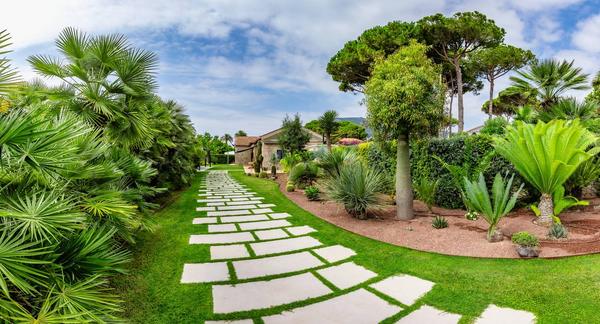 Passi tra le palme, giardino privato a San Felice Circeo (2024) — fotografia 5 di 6