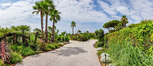 Passi tra le palme, giardino privato a San Felice Circeo (2024) — fotografia 4 di 6