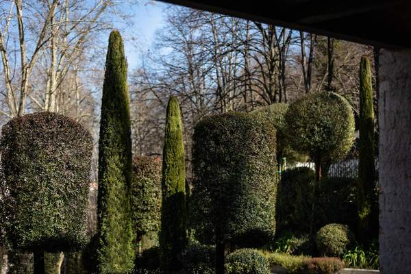 Forme su forme, giardino privato a Frosinone (2022) — fotografia 9 di 9