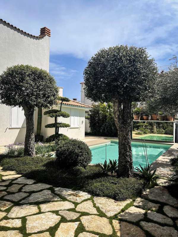 Sughere a cupola, giardino privato a San Felice Circeo (2023) — fotografia 13 di 13