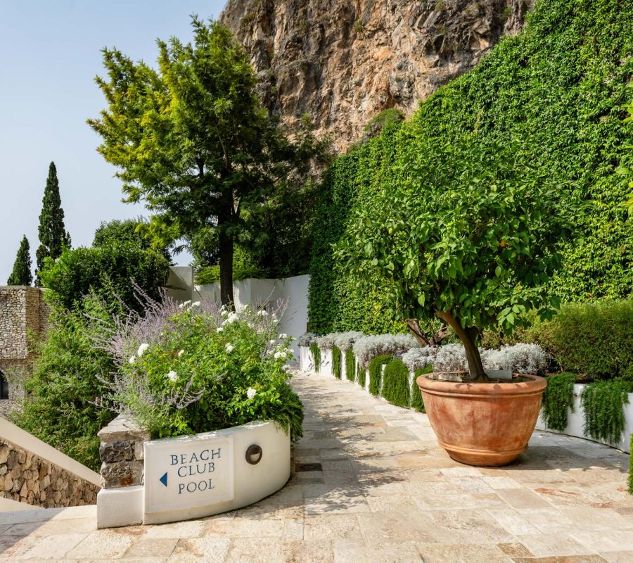Aumenta - Hotel Santandrea Amalfi - 0081