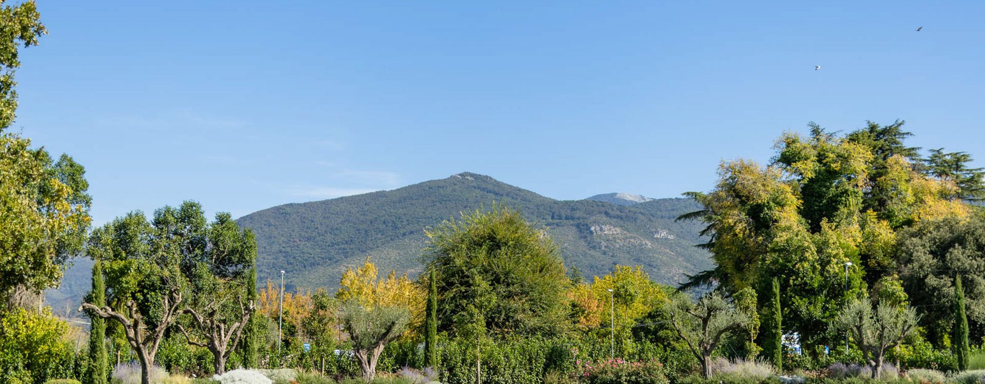 Aumenta Sermoneta - 0063
