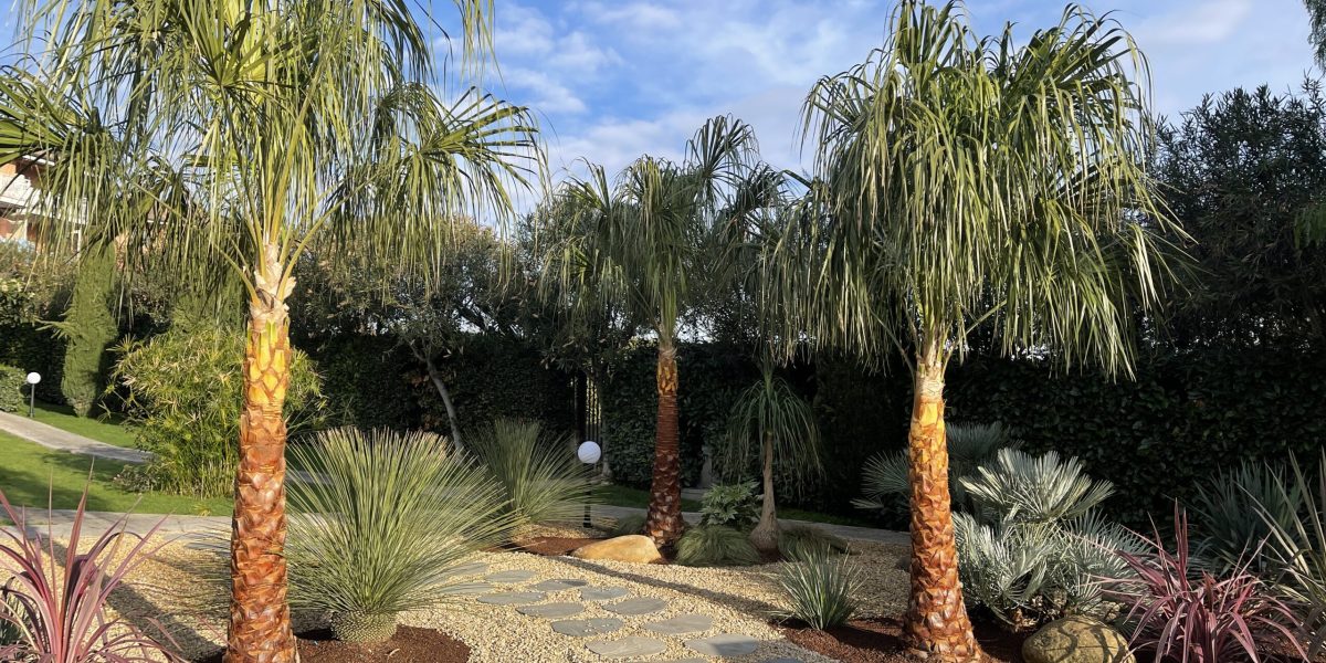 VILLA APPIA ANTICA